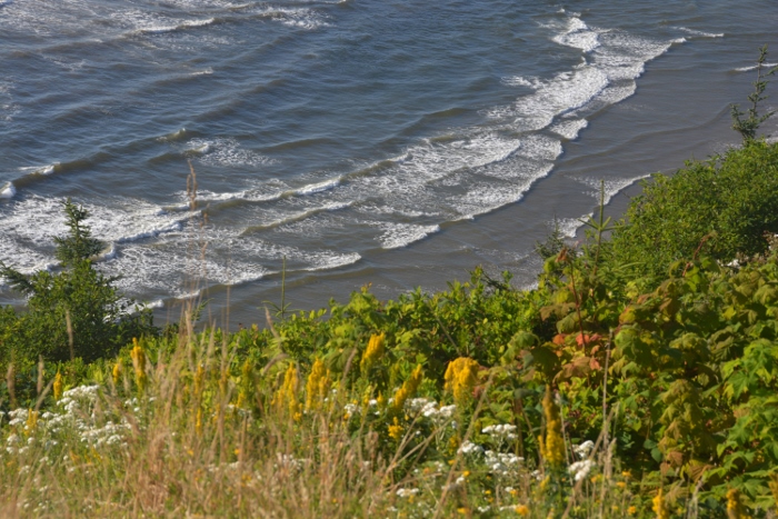 Looking north toward Netarts Bay